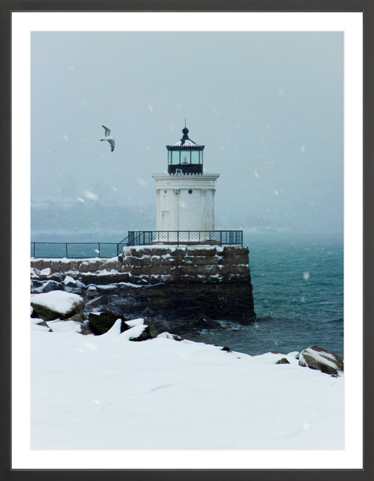 PORTLAND BREAKWATER
